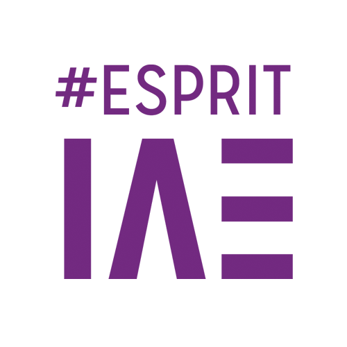 logo ESPRIT IAE